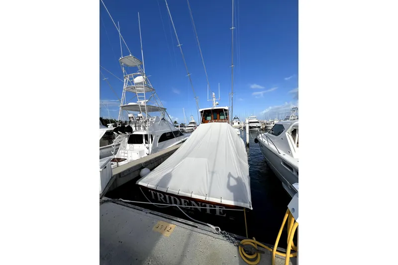 Slide: The Image of 1982 Torres Boat Mfg 43 docked, covered, with clear blue sky background. - 47