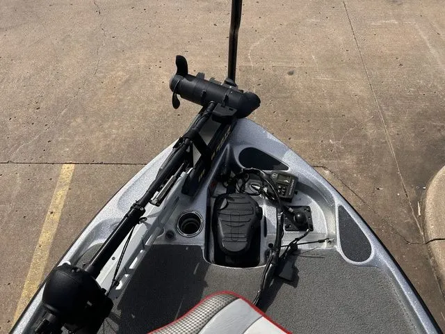 Slide: The Image of Bass Cat Puma FTD 2017 - 15