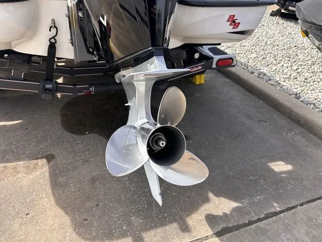 Slide: The Image of Bass Cat Puma FTD 2017 - 6