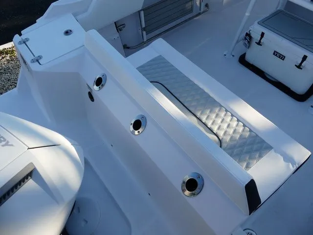 Slide: The Image of Blackfin 222 CC 2026 - 10