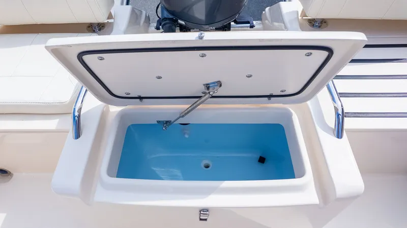 Slide: The Image of Grady-White Freedom 215 2023 - 9