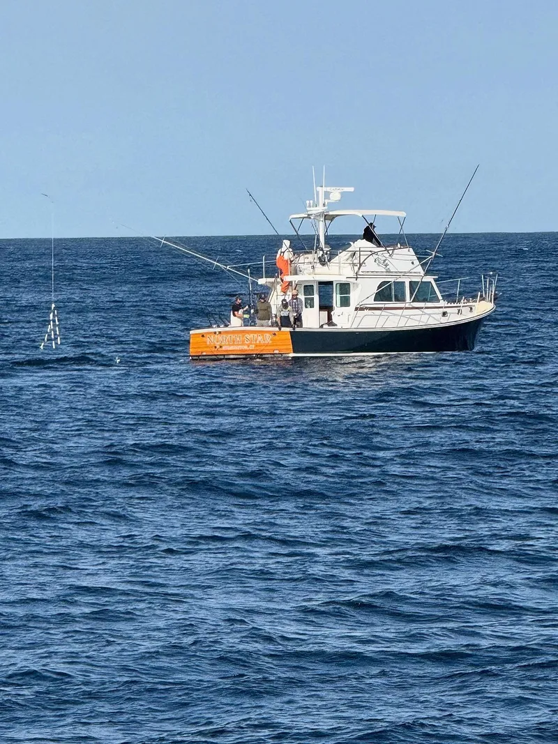 Slide: The Image of Wesmac 44' 2009 - 3