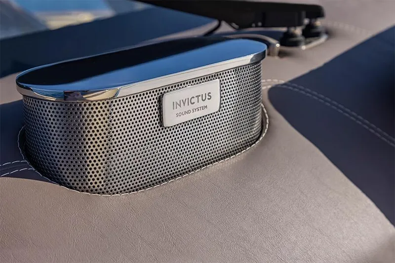 Slide: The Image of 2024 Invictus TT460 sound system detail with sleek design and premium materials. - 39