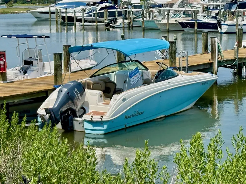 Slide: The Image of NauticStar 243 DC 2019 - 1