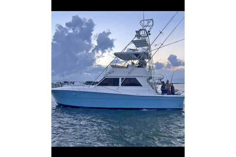 The Image of 1982 Viking 46 Convertible yacht on water at sunset with cloudy sky. - 1