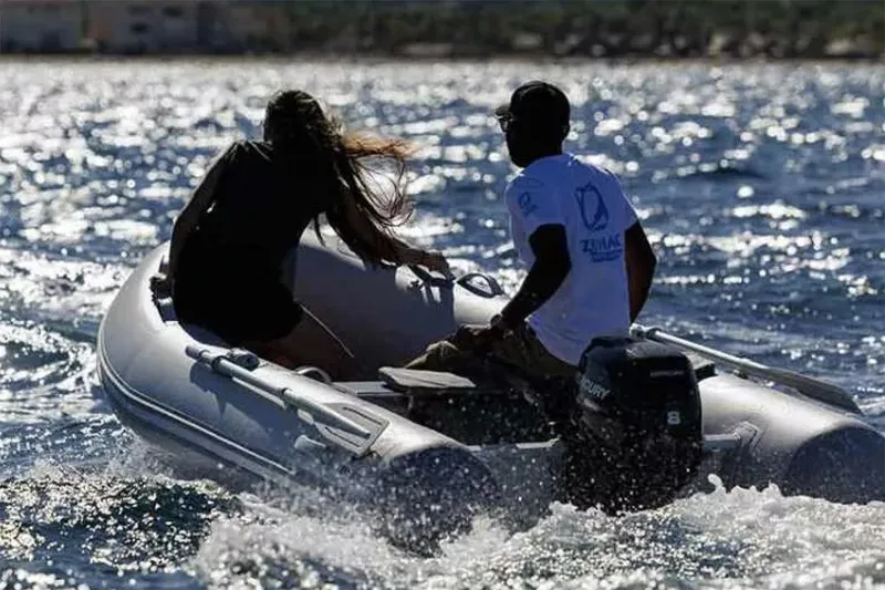 The Image of Manufacturer Provided Image - 0