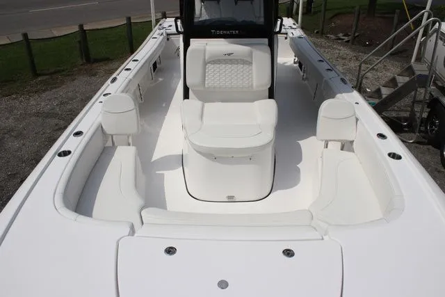 Slide: The Image of Tidewater Carolina Bay 2700 2026 - 16