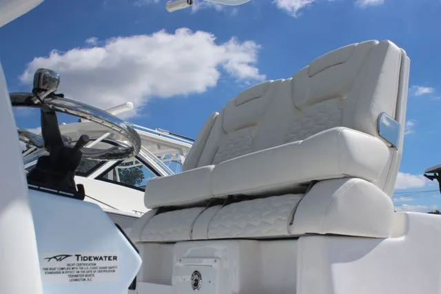 Slide: The Image of Tidewater Carolina Bay 2700 2026 - 8