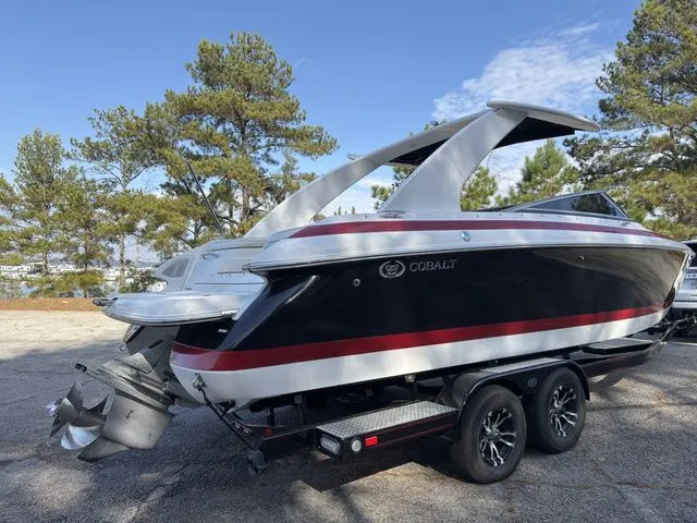 Slide: The Image of Cobalt 262 2004 - 21