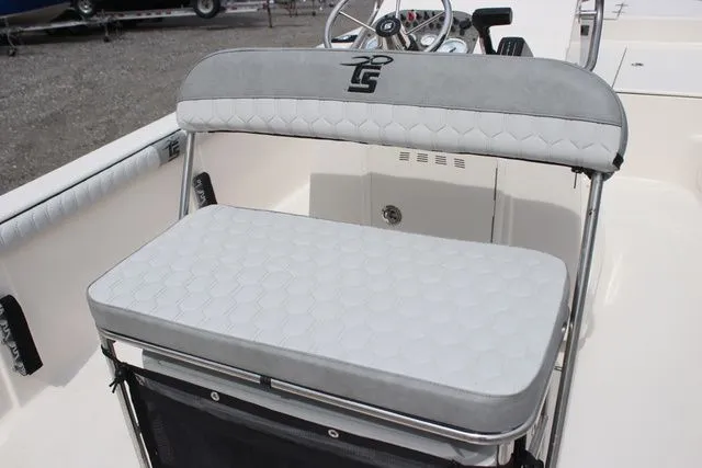 Slide: The Image of Carolina LS Series 19LS 2025 - 13