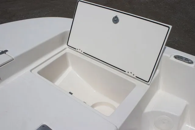 Slide: The Image of Carolina LS Series 19LS 2025 - 10