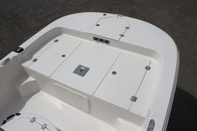 Slide: The Image of Carolina LS Series 19LS 2025 - 8