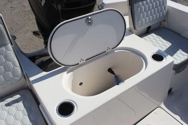 Slide: The Image of Carolina LS Series 19LS 2025 - 16