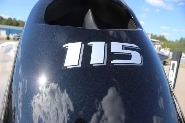 Slide: The Image of Carolina LS Series 19LS 2025 - 7