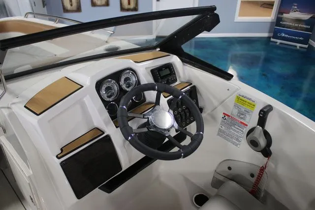 Slide: The Image of Starcraft SVX OB DC 190 2025 - 6