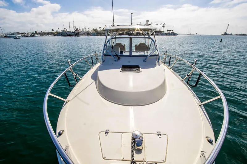 Slide: The Image of Scout 262 Abaco 2009 - 15