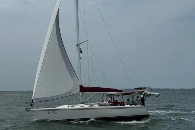 Slide: The Image of Sailing yacht Catalina 42, 1998 model, cruising on open water with full sails. - 11