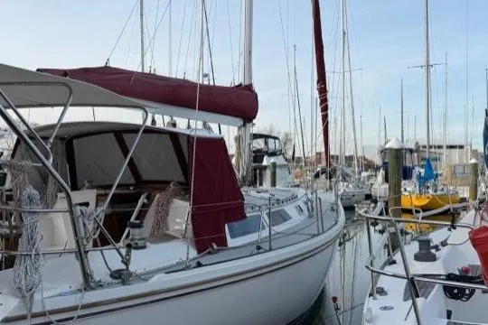 Slide: The Image of Sailboats docked at marina, featuring a 1998 Catalina 42 with maroon sail cover. - 17