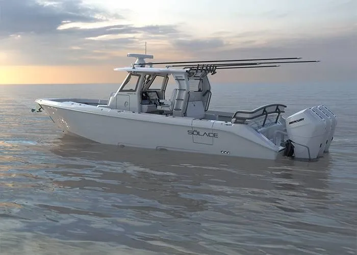 The Image of Solace 35 CS 2026 - 1