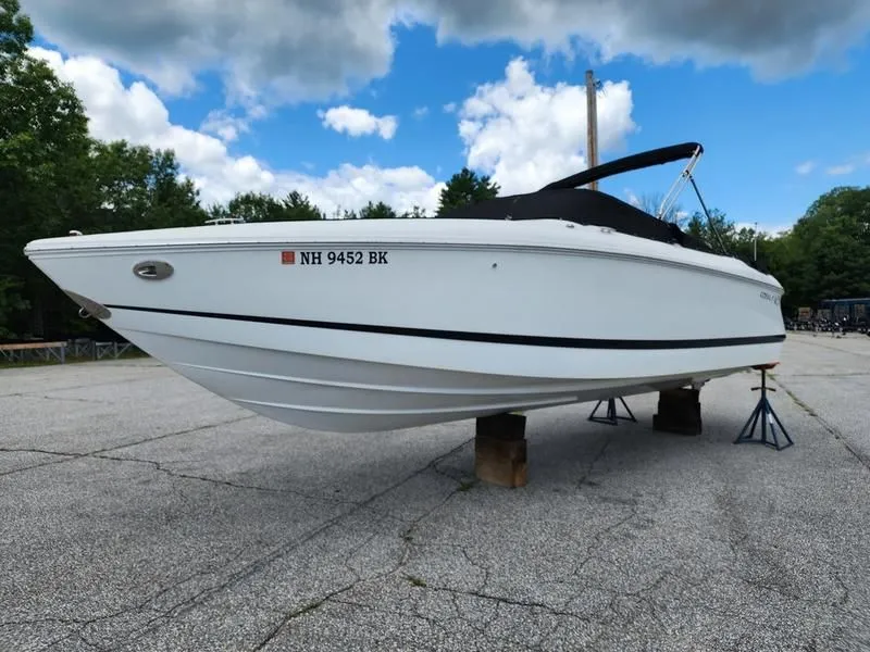 The Image of Cobalt 250 2004 - 1