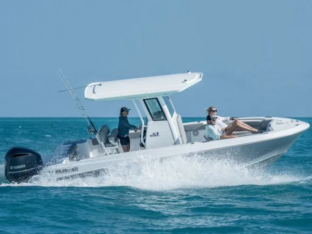 Slide: The Image of Wellcraft fisherman 223 2026 - 3