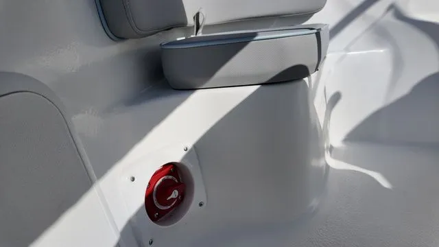 Slide: The Image of ALK2 18CRS 2026 - 24