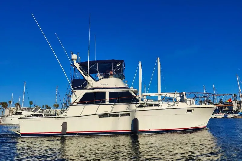 The Image of 1975 Uniflite Sport Fisher 42 yacht on calm water, clear blue sky background. - 0