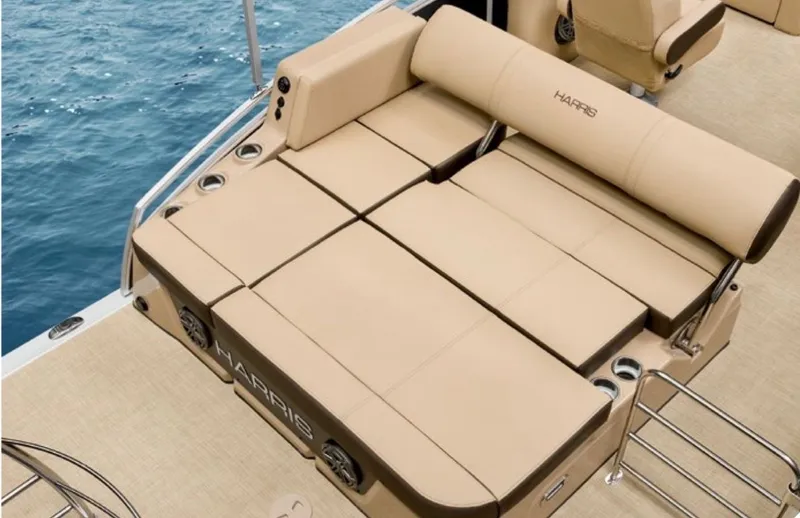 Slide: The Image of Harris Solstice 230 2021 - 3