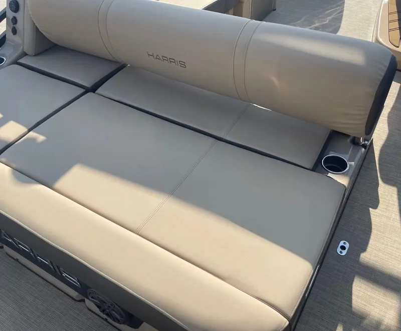 Slide: The Image of Harris Solstice 230 2021 - 4