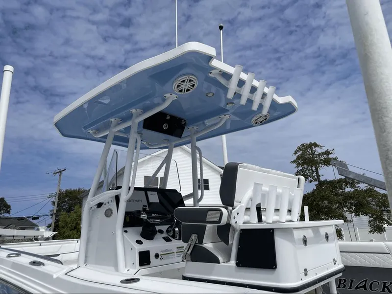 Slide: The Image of Blackfin 252 CC 2021 - 2