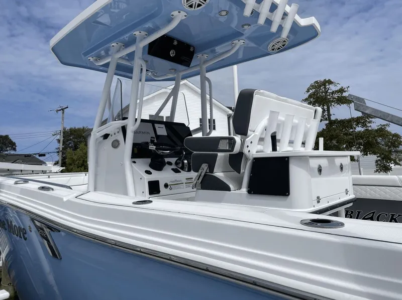 Slide: The Image of Blackfin 252 CC 2021 - 3