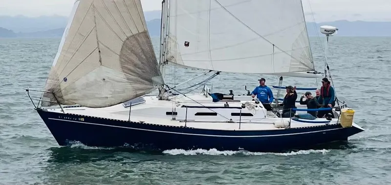 The Image of Schock NY 36 1982 - undefined