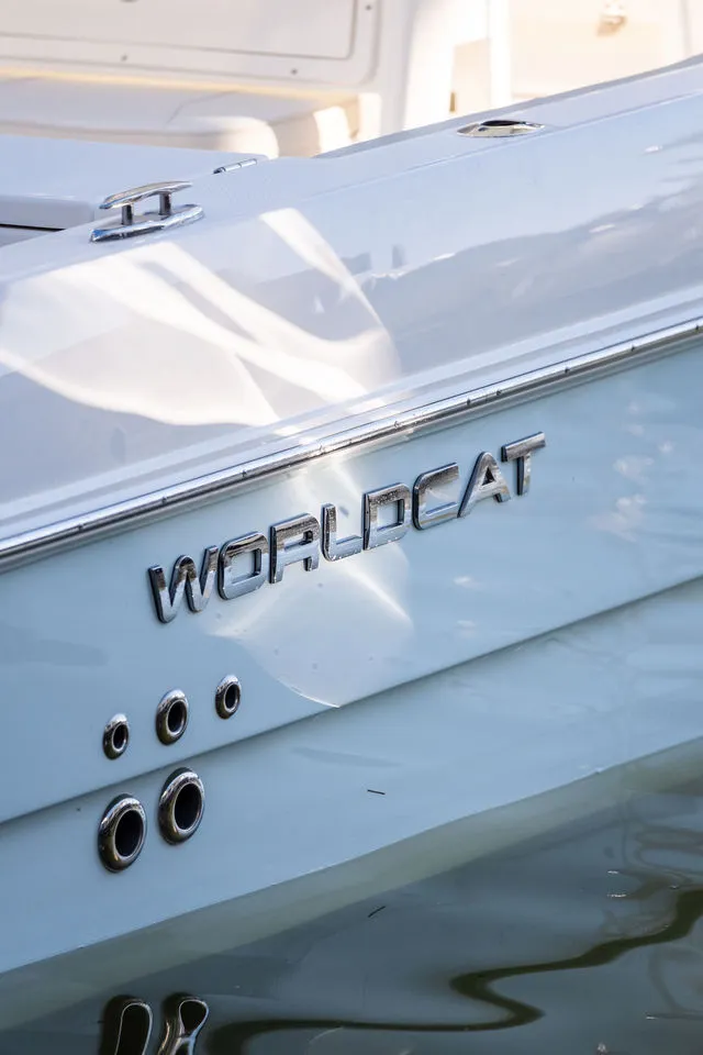 Slide: The Image of World Cat 325 CC 2025 - 43