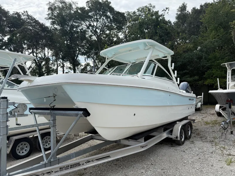 The Image of World Cat 230 DC 2025 - 1