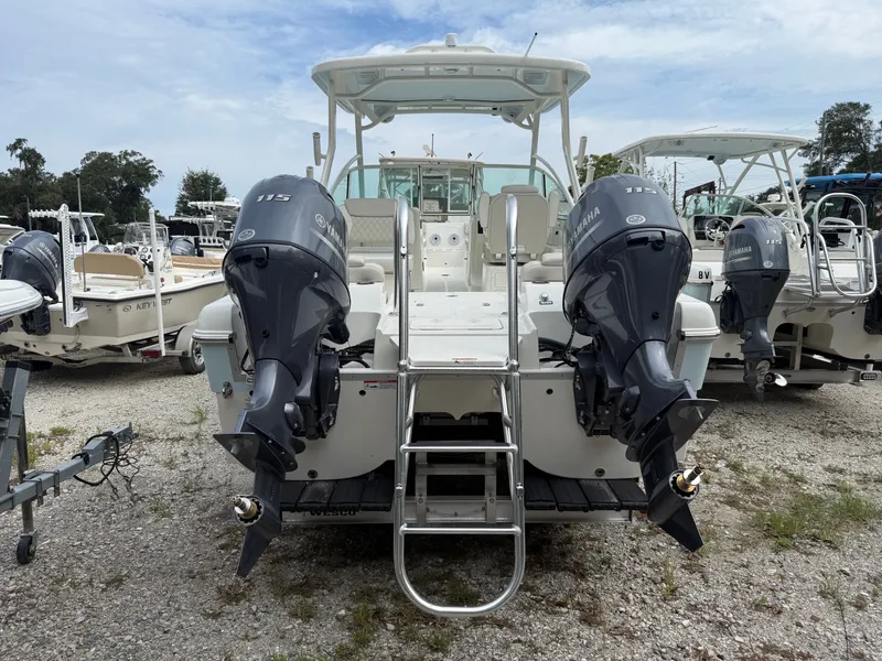 Slide: The Image of World Cat 230 DC 2025 - 10