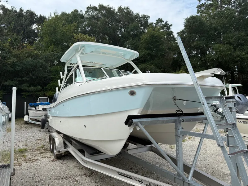 Slide: The Image of World Cat 230 DC 2025 - 3