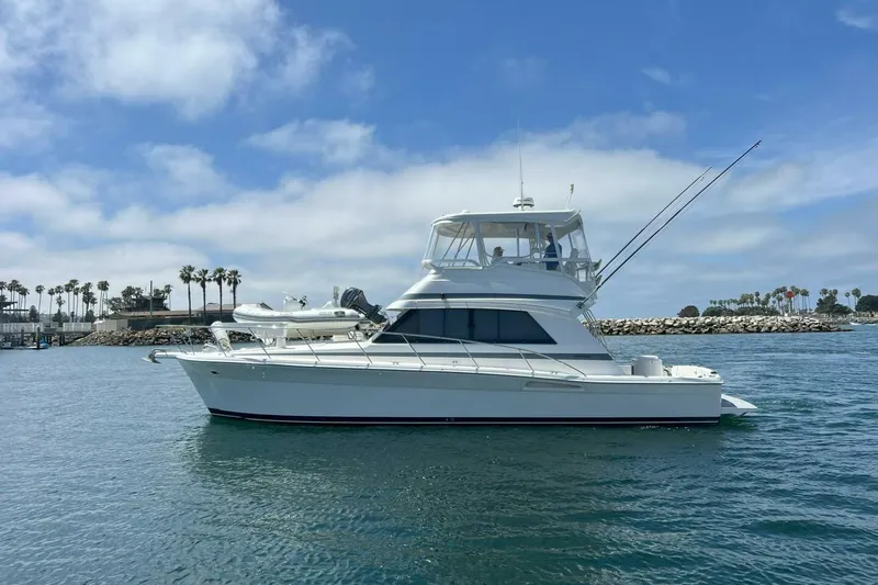 The Image of Riviera 43 Open Flybridge 2002 - undefined