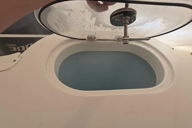 Slide: The Image of Open hatch on 2020 Sailfish 245 DC boat, showing interior compartment. - 30