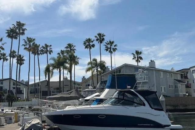 The Image of 2009 Chaparral Signature 290 boat docked near palm trees and waterfront homes. - 0