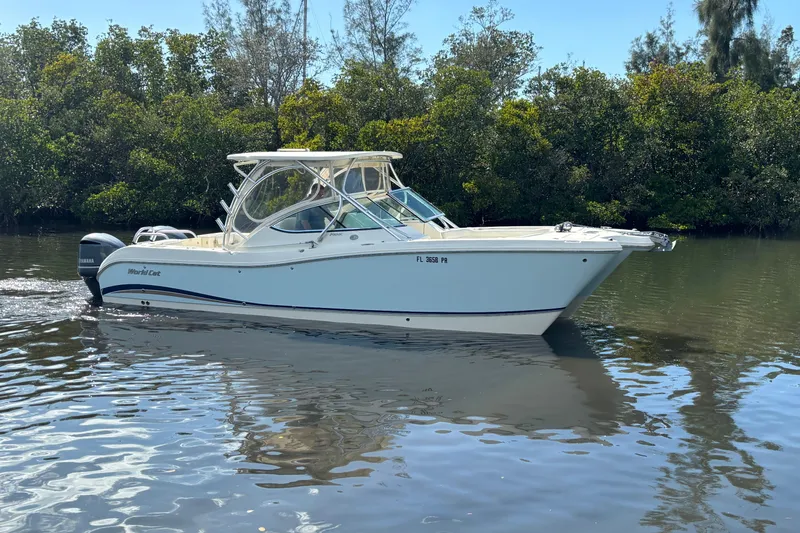 The Image of World Cat 290 DC 2013 - undefined