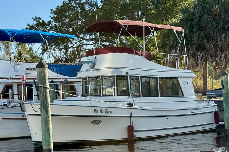 The Image of Camano Troll 2002 - undefined