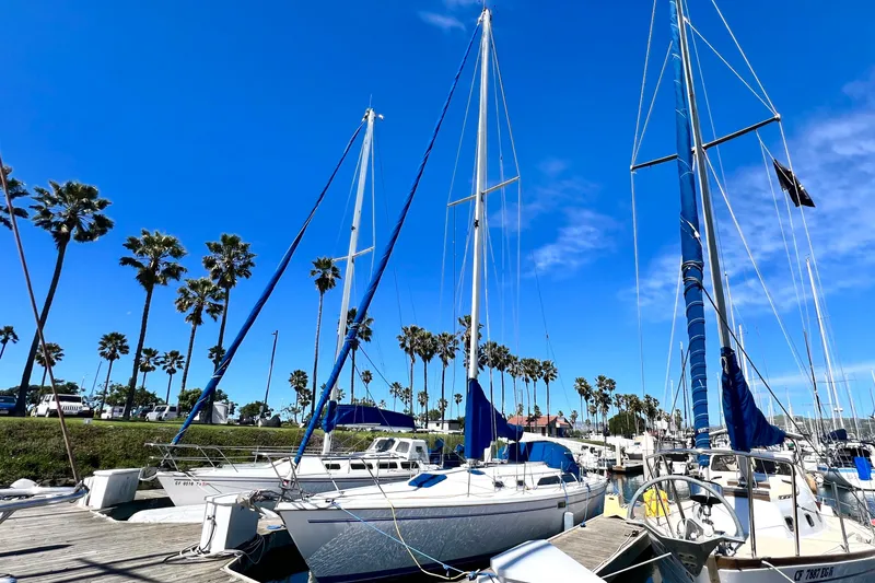 Slide: The Image of 1999 Catalina 36 MkII sailboat docked under clear blue sky with palm trees. - 1
