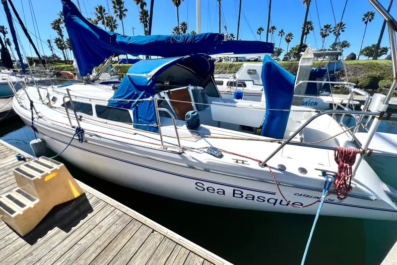 Slide: The Image of 1999 Catalina 36 MkII sailboat docked, featuring blue covers and palm trees in the background. - 3
