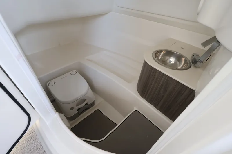 Slide: The Image of Sea Ray SDX 250 Outboard 2026 - 25