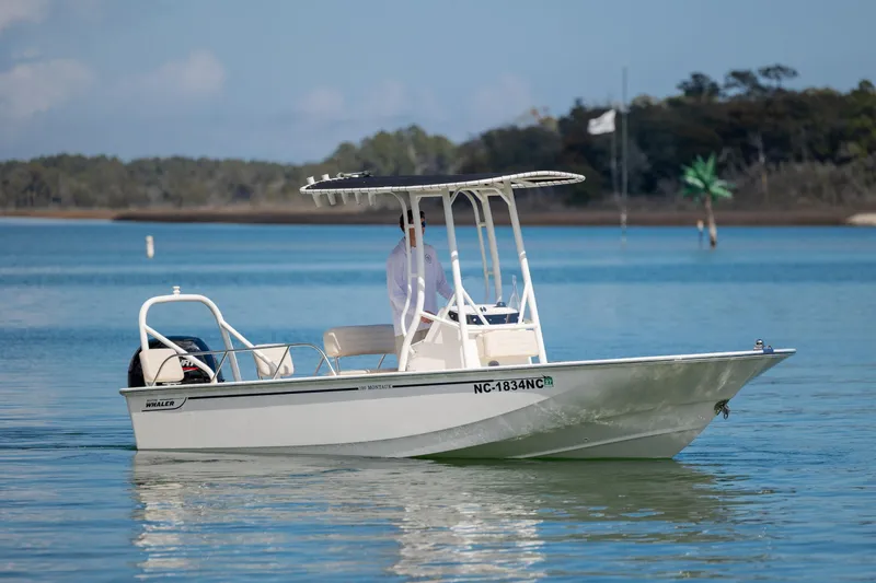 Slide: The Image of 2022 Boston Whaler 190 Montauk boat cruising on a serene lake with a scenic backdrop. - 3