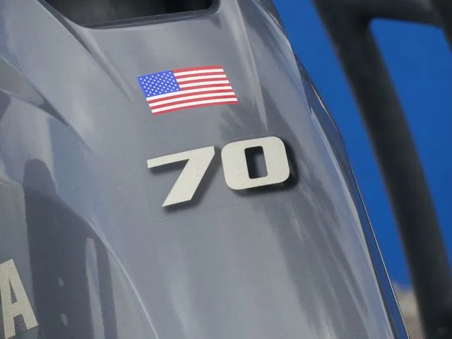 Slide: The Image of Ankona COPPERHEAD 159 2014 - 9