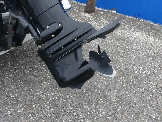 Slide: The Image of Key Largo 206 bay 2019 - 10