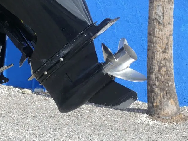 Slide: The Image of Regency 230 DL3 2020 - 10