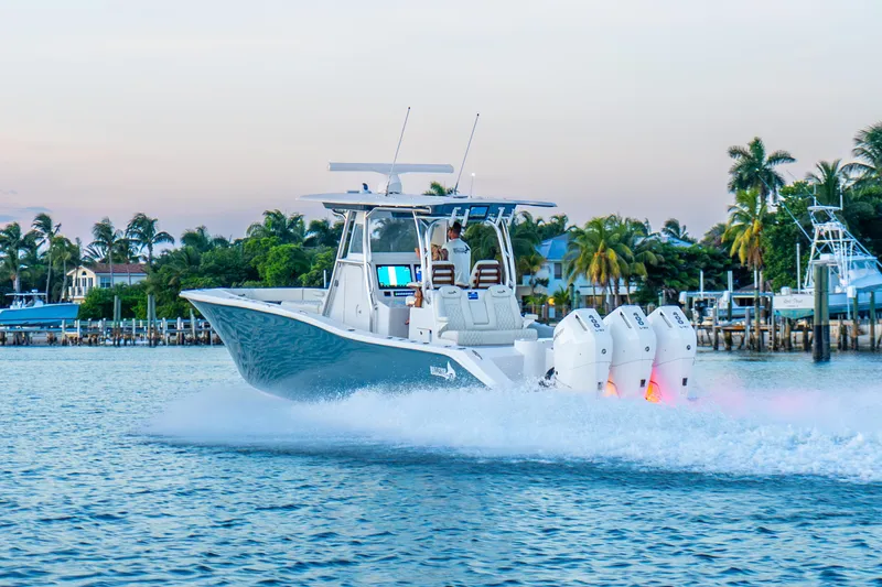 The Image of Billfish 39 2027 - undefined