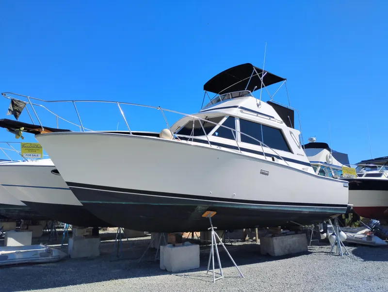 Slide: The Image of 1978 Bertram 33 Convertible boat on stands, clear blue sky background. - 2